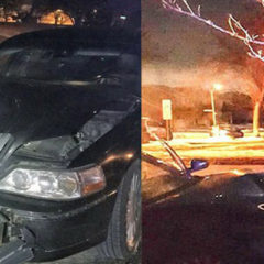 Car Found Driving with Tree in the Grille